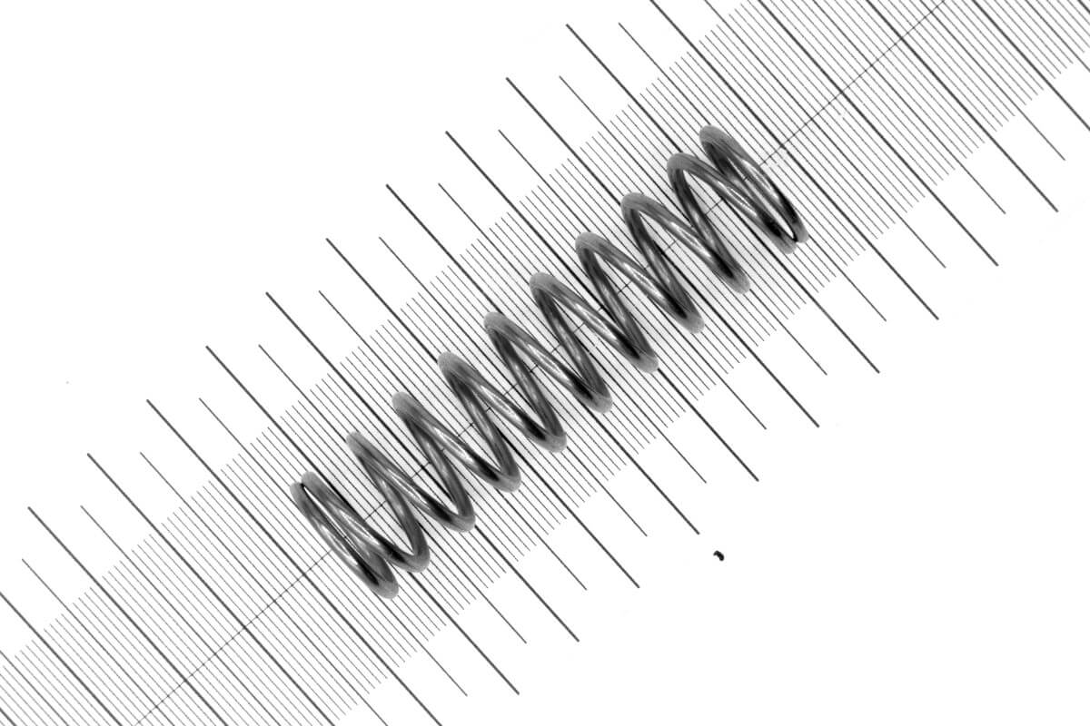 druckfeder gutekunst vd 252a 01 d2 d18 l170 edelstahl.jpg