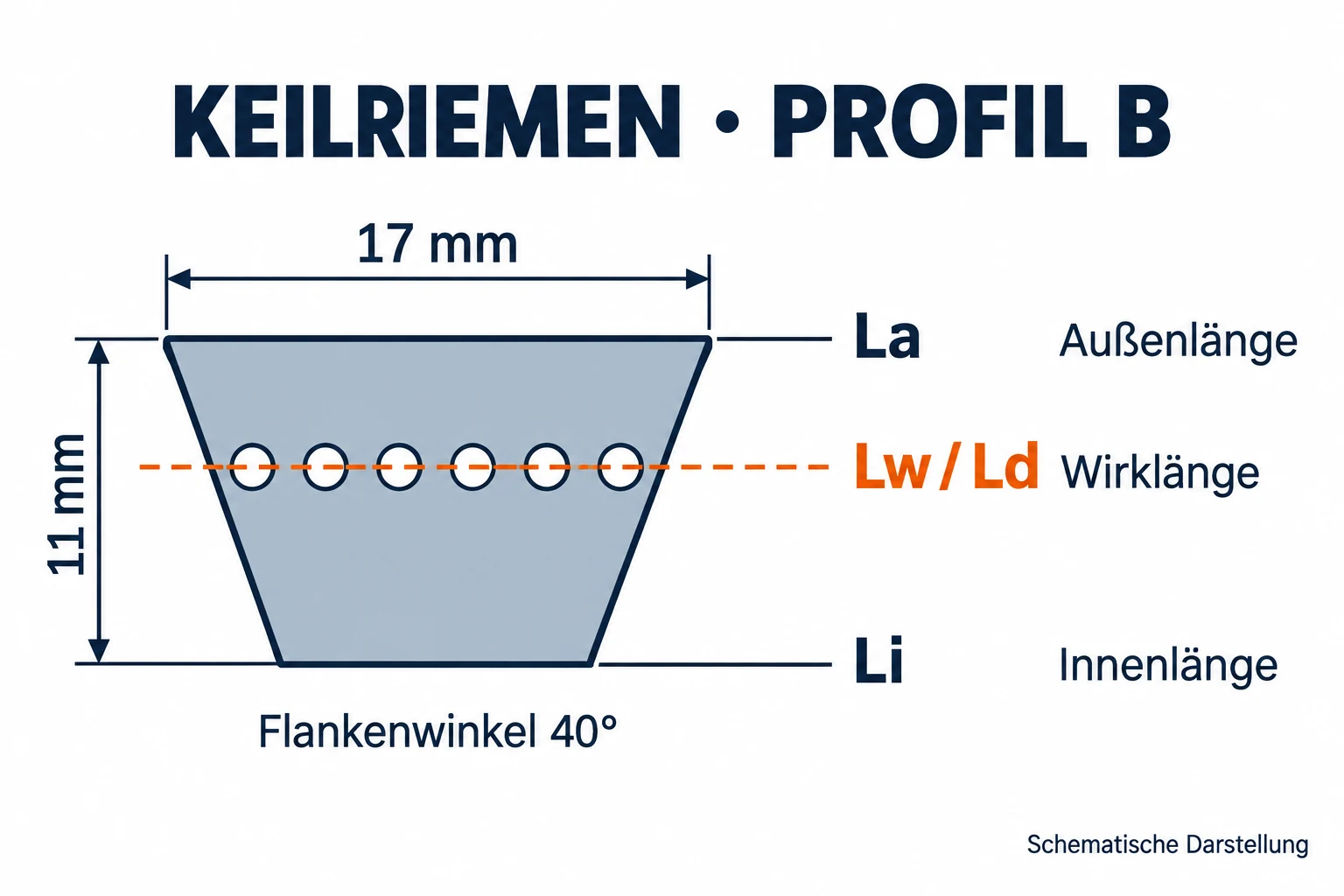 Querschnitt Keilriemen Profil B